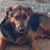 Marion Touchstone Baird's profile image