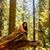 Priti Shah's profile image