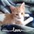 Jessica Broadwater's profile image