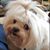 Barbara Shugar's profile image