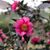 Bee Truong's profile image