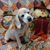 Cheryl Ann's profile image