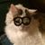 Melinda Reagan's profile image