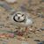 Leah Dodronto Dodd's profile image