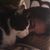 Anabella Campos's profile image