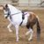 Kristy Long Taylor's profile image