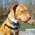Richard Sauter's profile image