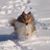 Marilynn Wright's profile image