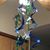 Sami Thompson Westfall's profile image