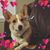 Holly Sisson's profile image