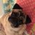 Kristen Der's profile image