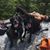 Patricia Sylvestre's profile image