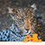 Martha Deegan's profile image