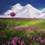 Suzanne Casarez's profile image