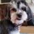 Nancy Horwitz's profile image