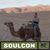 Michael Bodine's profile image