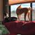 Sue Downing's profile image