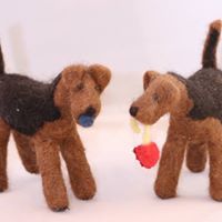 Robert Griffiths's profile image