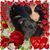 Elaine Payne's profile image
