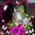 Saundra Cox's profile image