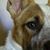 Brenda Culpepper's profile image