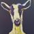 Timothy Fugett's profile image