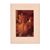 Sharon Sellers Dunn's profile image
