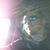 Seth Zoltanski's profile image