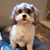 Kim Clark Adams's profile image