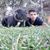 Helmi Gargouri's profile image