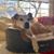 Ali van den Broek's profile image