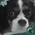 Lin Michon's profile image