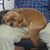 Rhonda Whaley's profile image