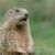 John Samick's profile image