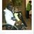Marvin Mitchell's profile image