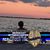 Vic Purvis's profile image