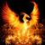 Lila Solnick's profile image