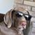 Amy Kaplan Alfonso's profile image