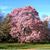 Anabela Freitas Machado's profile image
