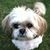 Kim RInae's profile image