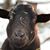 Vickie Markhardt's profile image