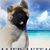 Madelyn Masterton's profile image