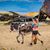 Lyndi Blom's profile image
