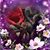 Elizabeth Danner's profile image