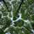 Heather Muench's profile image