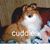 Mary Massett's profile image