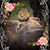 Judy Kitchen Shea's profile image