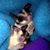 Wendy Thoen's profile image