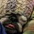 William Perry's profile image