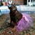Susan Klein's profile image
